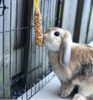 NOBBY  Stickies Gemüse, 2 x 56 g