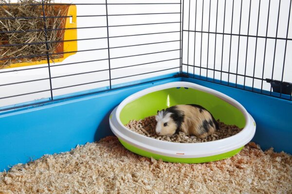 NOBBY  Ecktoilette "Concha", grün od. grau, 36 x 26,5 x 15,5 cm