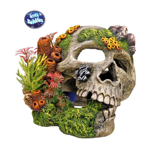 NOBBY Aqua Ornaments "TOTENKOPF" mit Pflanzen