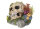 NOBBY Aqua Ornaments "TOTENKOPF" mit Pflanzen