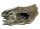 NOBBY Aqua Ornaments "TREIBHOLZ"