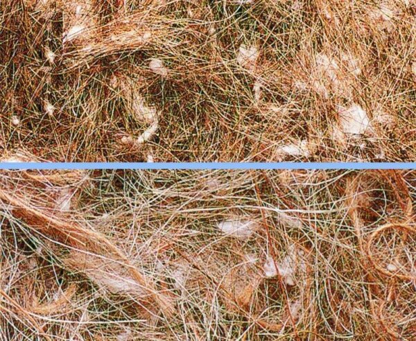 NOBBY Nistmaterial "Pelo Animale"