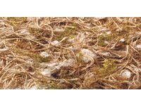 NOBBY Jute-Baumwolle-Moos