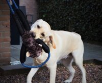 NOBBY Plüsch Affe "Stretch" mit Seil, 50 cm