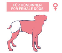 NOBBY Windeln für Hündinnen