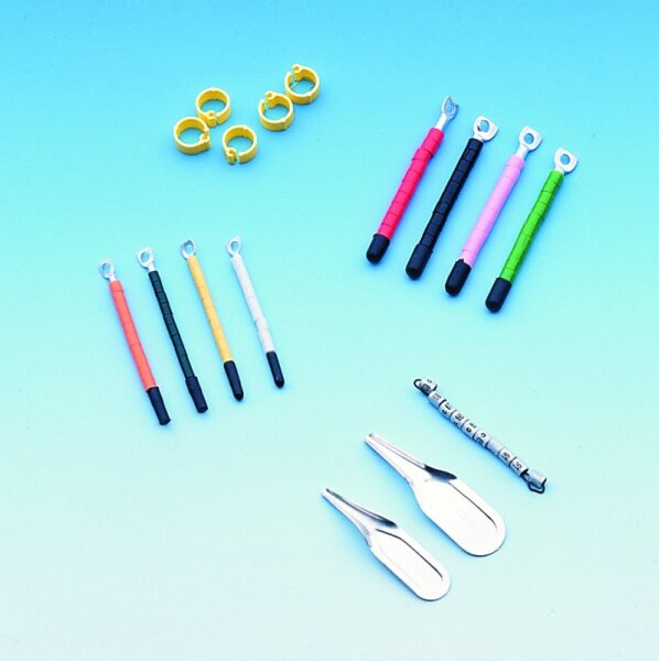 NOBBY Kunststoff-Ringe für Exoten, 2,5 mm