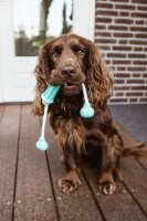 Vollgummi Stick mit Seil "DENTAL LINE"