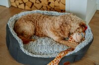 NOBBY Hunde-Komfort Bett "CACHO", oval