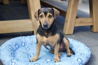 NOBBY Kühldonut "Bubble", Ø 66 cm