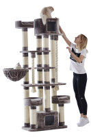 NOBBY Kratzbaum "KYLA", 209 cm hoch