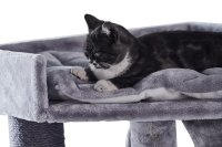 NOBBY Kratzbaum "ADILE", grau, 166 cm hoch