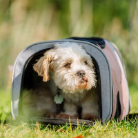 NOBBY Rucksack "PLATA"