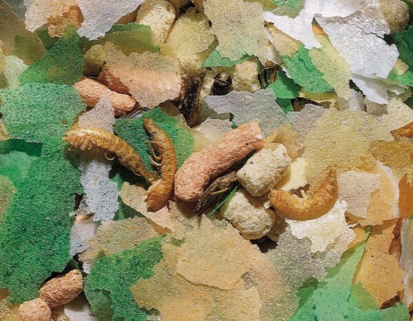 NOBBY Teichflocken Mix