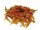 Katzen - Snacks NOBBY StarSnack Soft Chicken Fillet, 85 g