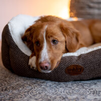 NOBBY Hunde-Komfort Bett "ALBA", oval