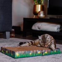 NOBBY Kratzbrett aus Karton