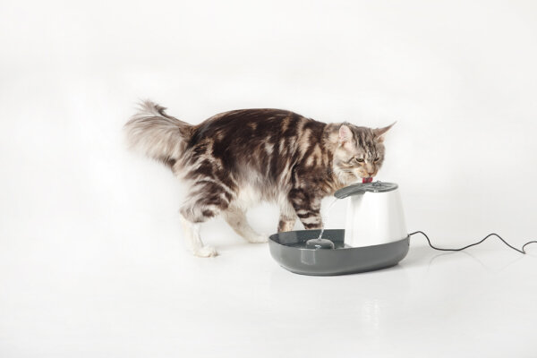 NOBBY Trinkbrunnen "Cascade", grau/weiß, 1,5 l, 34 x 28 x 17 cm