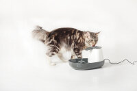 NOBBY Trinkbrunnen "Cascade", grau/weiß,...