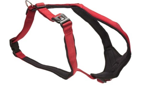 WOLTERS Professional Comfort Geschirr Gr. -1 / 27-32cm