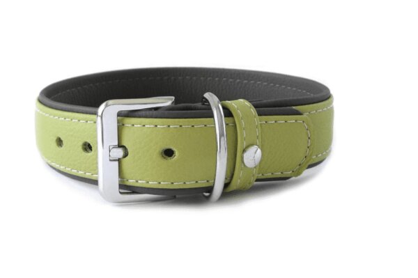 Hundehalsband Amsterdam Lime / Lava Breite 30 mm / Länge 50 cm