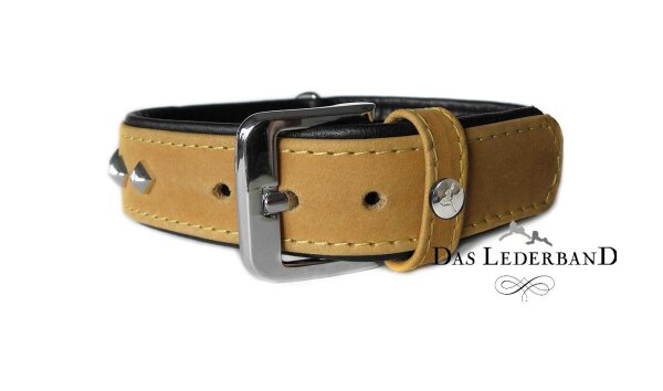 DAS LEDERBAND Hundehalsband Amsterdam, Lime / Lava, Breite 30 mm / Länge 50 cm