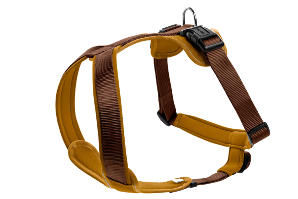 HUNTER Geschirr Neopren, S, braun/caramel, Hals: 39 cm, Bauch: 42 - 53 cm