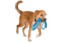 Wolters Führleine Professional Classic extra lang aqua