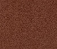 WOLTERS Führleine Terravita flach kokosnuss /...