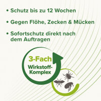 BEAPHAR Zecken- und Flohschutz SPOT-ON, große Hunde, 3 x 2 ml