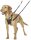 NOBBY HALTI No-Pull Geschirr, schwarz, S, 26 - 36 cm