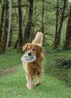 NOBBY Flybee, M, Ø 20 cm