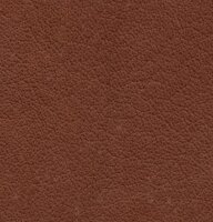 WOLTERS Halsband Terravita flach, kokosnuss, 35 cm x 20 mm