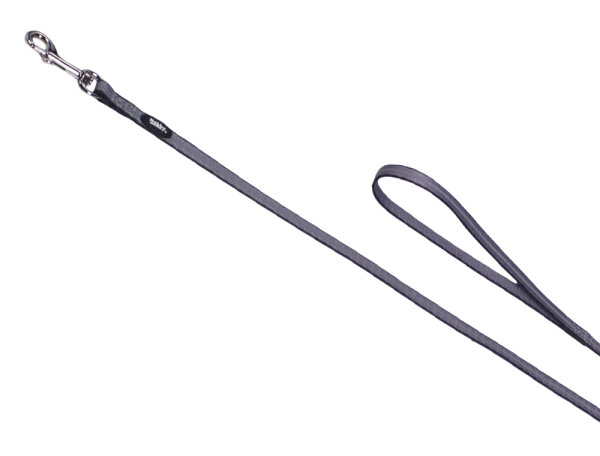 Leine "Mini Reflect"