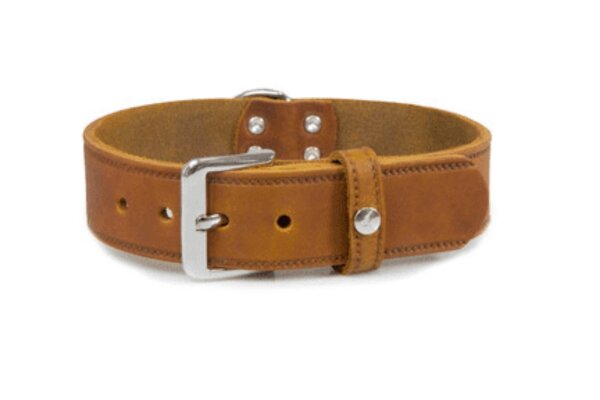 Das Lederband Hundehalsband Weinheim, kastanie, 47 cm x 18 mm