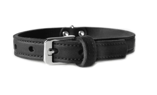 Das Lederband Hundehalsband Weinheim, schwarz, 57 cm x 20 mm