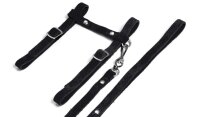KARLIE  Katzengeschirr mit Leine, schwarz, L: 110 cm, B:...