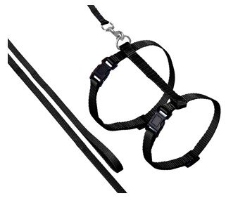 KARLIE  Katzengeschirr "Flamingo ART SPORTIV PLUS", dunkelbraun, L: 110 cm, B: 10 mm