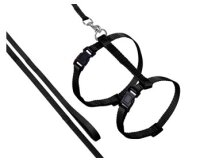 KARLIE  Katzengeschirr "Flamingo ART SPORTIV...