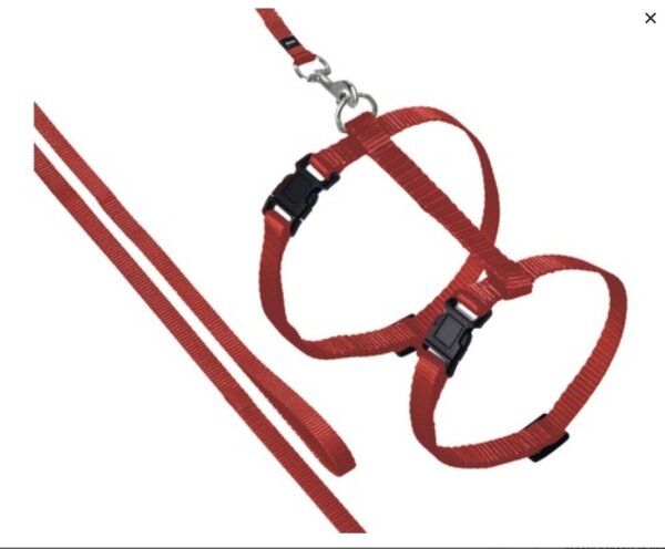 KARLIE  Katzengeschirr mit Leine "Sportiv", rot, L: 110 cm, B: 10 mm