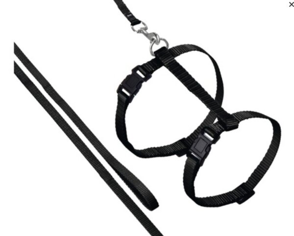 KARLIE  ASP Katzengeschirr mit Leine, schwarz, L: 110 cm, B: 10 mm