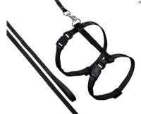 KARLIE  ASP Katzengeschirr mit Leine, schwarz, L: 110 cm,...