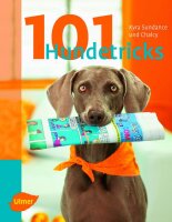 NOBBY 101 Hundetricks, Fachliteratur von Ulmer