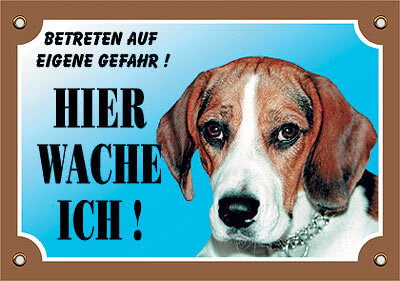 Warntafel Beagle