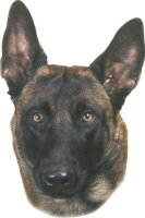 NOBBY Aufkleber Malinois, 2er Set