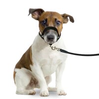 Karli Trainings- und Gehorsamgeschirr groß (XL)