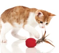 HUNTER Katzenball "Smart Feather", Ø 5 cm