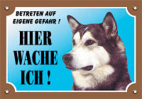 Warntafel Alaskan Malamute