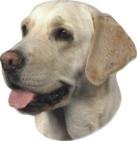 Aufkleber Labrador hell