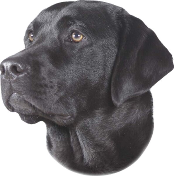 NOBBY Aufkleber Labrador, schwarz, 2er Set