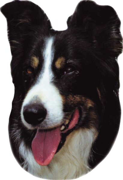 Aufkleber Border Collie, 2 er Set